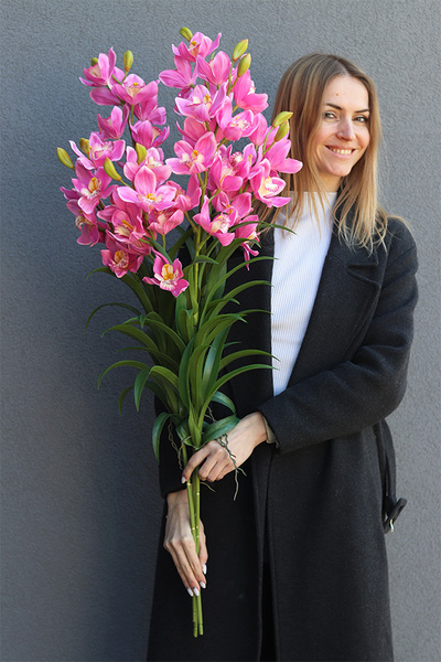 Cymbydium Róż, gałązka kwiatowa storczyk orchidea