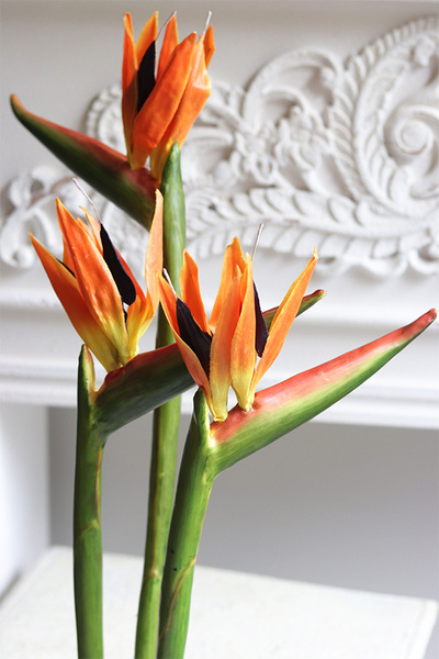 Strelicja Pomarańczowa, bukiet kwiatów do wazonu