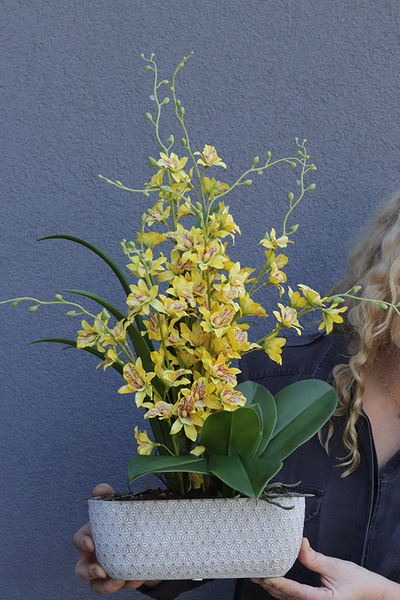 Tajskie Słońce, sztuczny storczyk w słonecznym kolorze