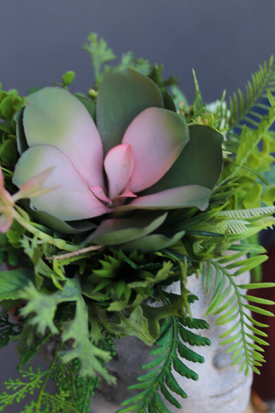 Tamara Head 2, kompozycja sukulenty w głowie