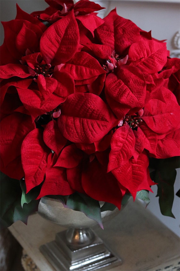 Gwiazda Betlejemska Silver Lux, sztuczna roślina w donicy