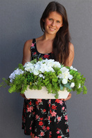 Jullista, biała kompozycja kwiatowa, wym.26x53cm 