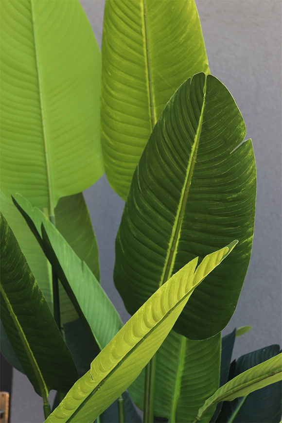 Andaluzja Bananowiec Hilton, wysokiej jakości sztuczne drzewo w donicy