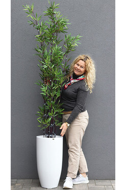 Bambus Fiberglass, sztuczna roślina w białej donicy, wys.228cm
