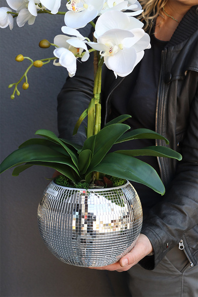 sztuczny storczyk Explosion Mini Ball