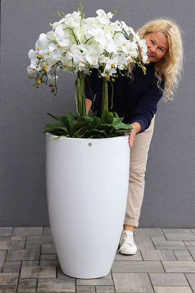 Fiberglass Grande White, storczyk XXL w białej donicy