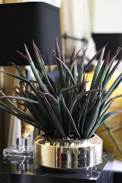 Krefia, zielona kompozycja w złotej donicy, wys.48cm 