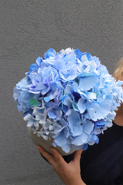 Blue Hydrangeas, szary flowerbox z kwiatami