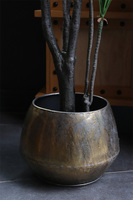 Dracena Simple Gold, sztuczna roślina w doniczce