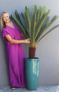 Cykas Grande Turkus, sztuczna roślina w donicy, wys.175cm