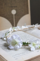 Apple Delicate, wianek na głowę