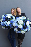 Karenao Hortensje Blue, kosz z hortensjami