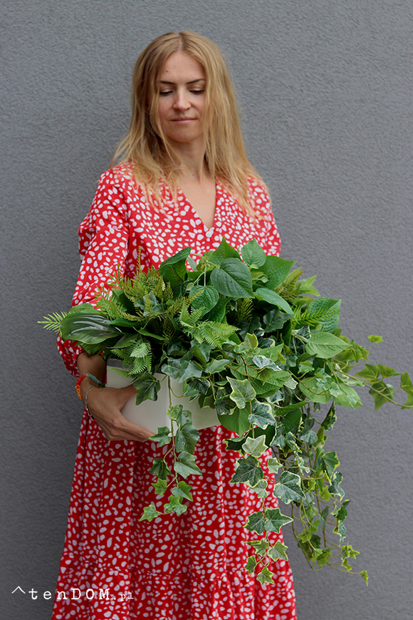 Green Glamour, kompozycja sukulenty w okrągłej donicy