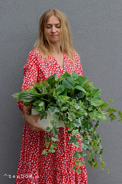 Green Glamour, kompozycja sukulenty w okrągłej donicy