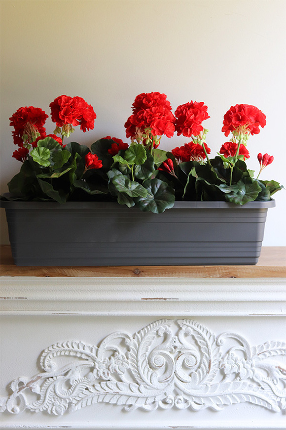 Red Flowers, kompozycja z pelargoniami