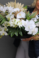 Wachlarze Cesarza, elegancka kompozycja nagrobna w naczyniu