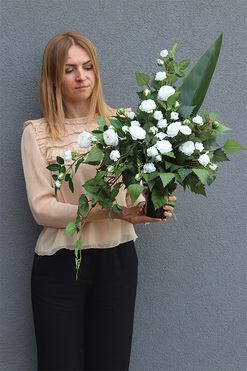 Angielska Róża White, bukiet nagrobny we wkładzie do wazonu, dł.65cm