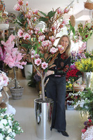 Magnolia Silveria, sztuczne drzewko w donicy