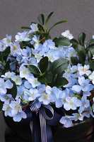 Blue Memory, kompozycja nagrobna w misie