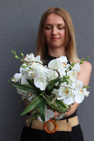 Dekoria Orchideana, kompozycja z orchideą w pucharze