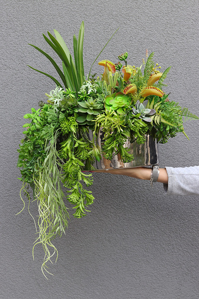 Greenede, kompozycja sukulenty w czarnej donicy, wys.40cm