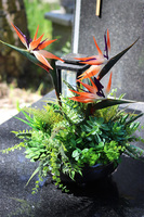 Strelicja Czerń, nagrobna kompozycja w misie