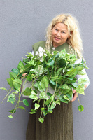 Epipremnum Ibis Concrete, kwiat sztuczny w donicy