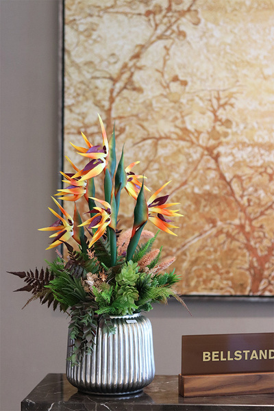 Strelicja Premium Hilton, kompozycja w srebrnej donicy