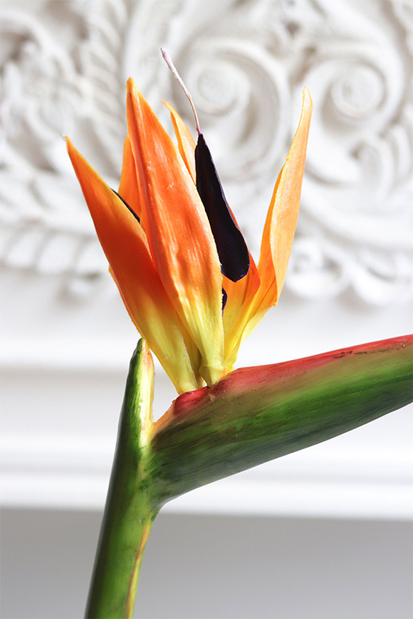 Strelicja Pomarańczowa, bukiet kwiatów do wazonu