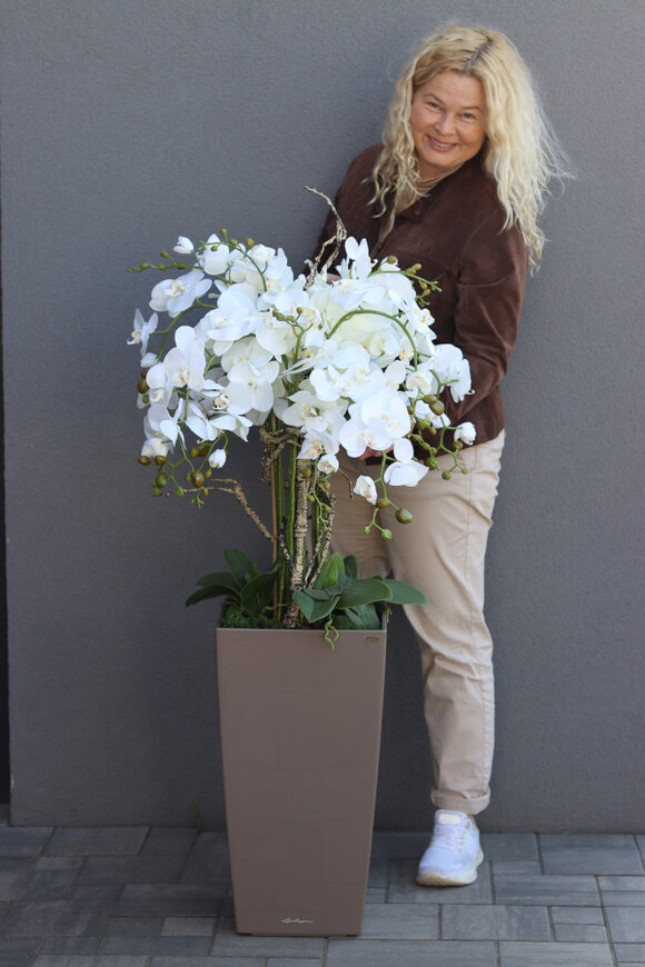 Cubico Mediolan, storczyk podłogowy w donicy