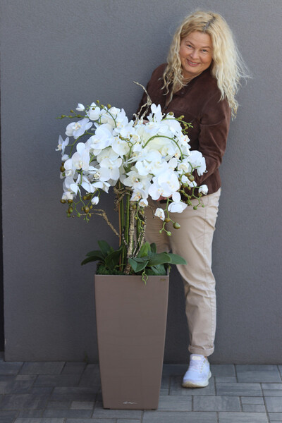 Cubico Mediolan, storczyk podłogowy w donicy