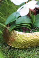 Deluxe Belldani, sztuczny storczyk w złotej donicy, kpl.2szt 