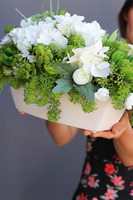 Jullista, biała kompozycja kwiatowa, wym.26x53cm 