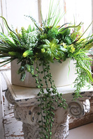 Gretada Manfredo, sukulenty w kremowej donicy