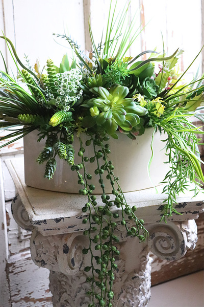 Gretada Manfredo, sukulenty w kremowej donicy