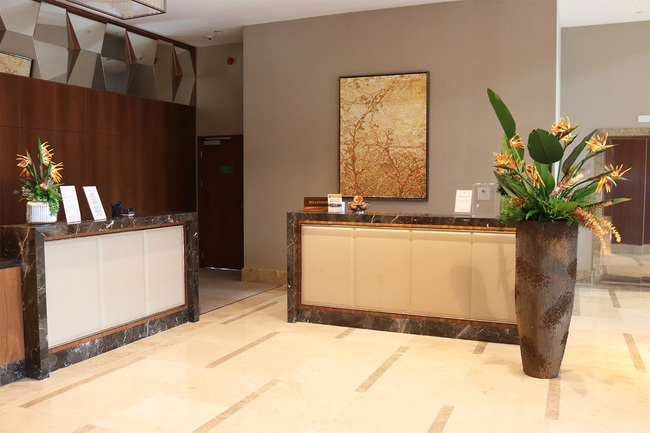 Strelicja Etna, egzotyczna kompozycja XXL w wysokiej donicy