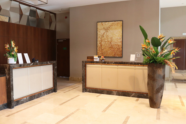 Strelicja Etna, egzotyczna kompozycja XXL w wysokiej donicy