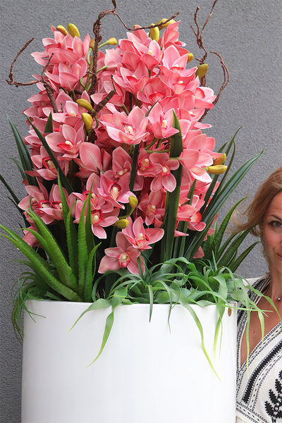  Sweet Pink Fiberglass, podłogowy storczyk w donicy