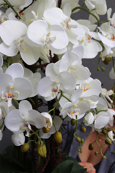 Deluxe Gold, sztuczny storczyk w złotej donicy, wys.111cm