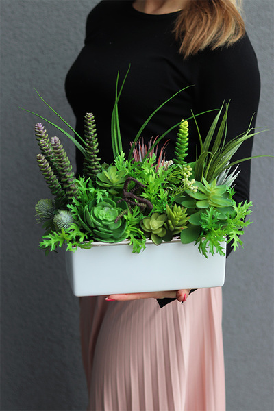 Freja, kompozycja sukulenty w białej donicy