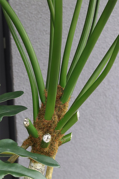 Filodendron Pierzasty, wysokiej jakości sztuczna roślina	