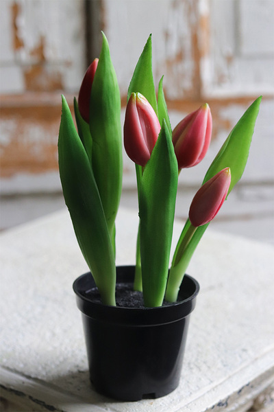 Mini Tulips, kompozycja z gumowych tulipanów w doniczce