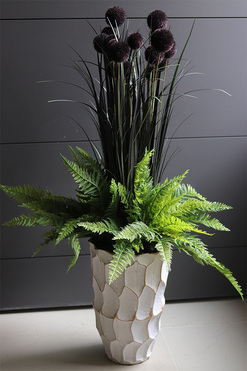 Black Ontario, kompozycja z trawami, wys.100cm 