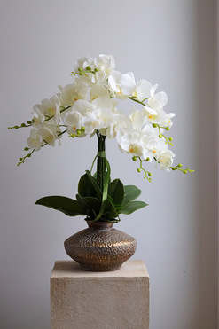 OD RĘKI Eduardo Silica, biały storczyk gumowy w złotej donicy, wys.65cm