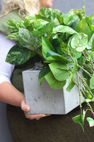 Epipremnum Ibis Concrete, kwiat sztuczny w donicy