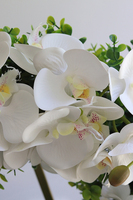 Orchidelia White Glamour, asymetryczny wianek z chwostem