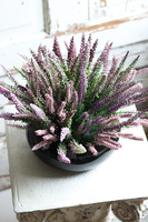 Wrzosy Piano, kompozycja w czarnej misie