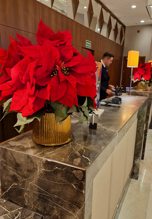 Gwiazda Betlejemska Hilton 4, wysokiej jakości sztuczna roślina