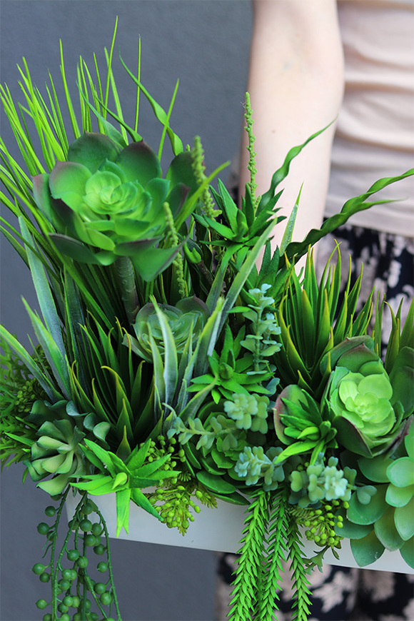 kompozycja sukulenty w długiej donicy, Suculentas Longia, wym.26x73cm