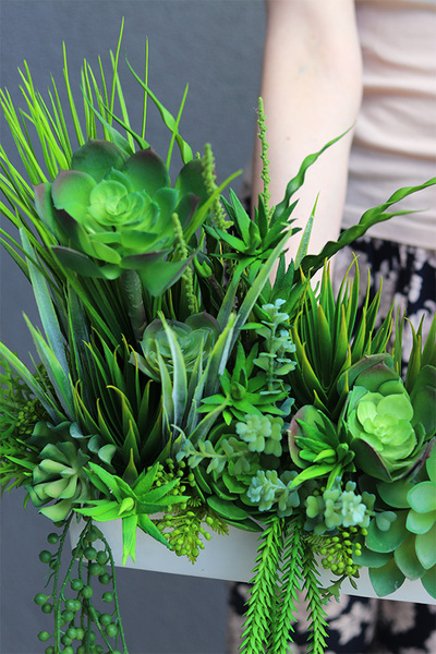 kompozycja sukulenty w długiej donicy, Suculentas Longia, wym.26x73cm